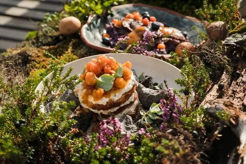 Арктическая кухня мурманск