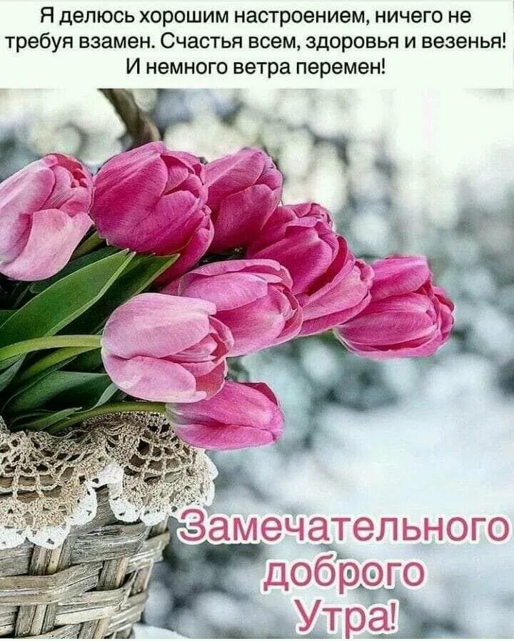 Весенние картинки со смыслом доброе утро. Доброго весеннего дня. доброго утра и хорошеготнастроения. весеннее настроение. доброе утро хорошо настроение.