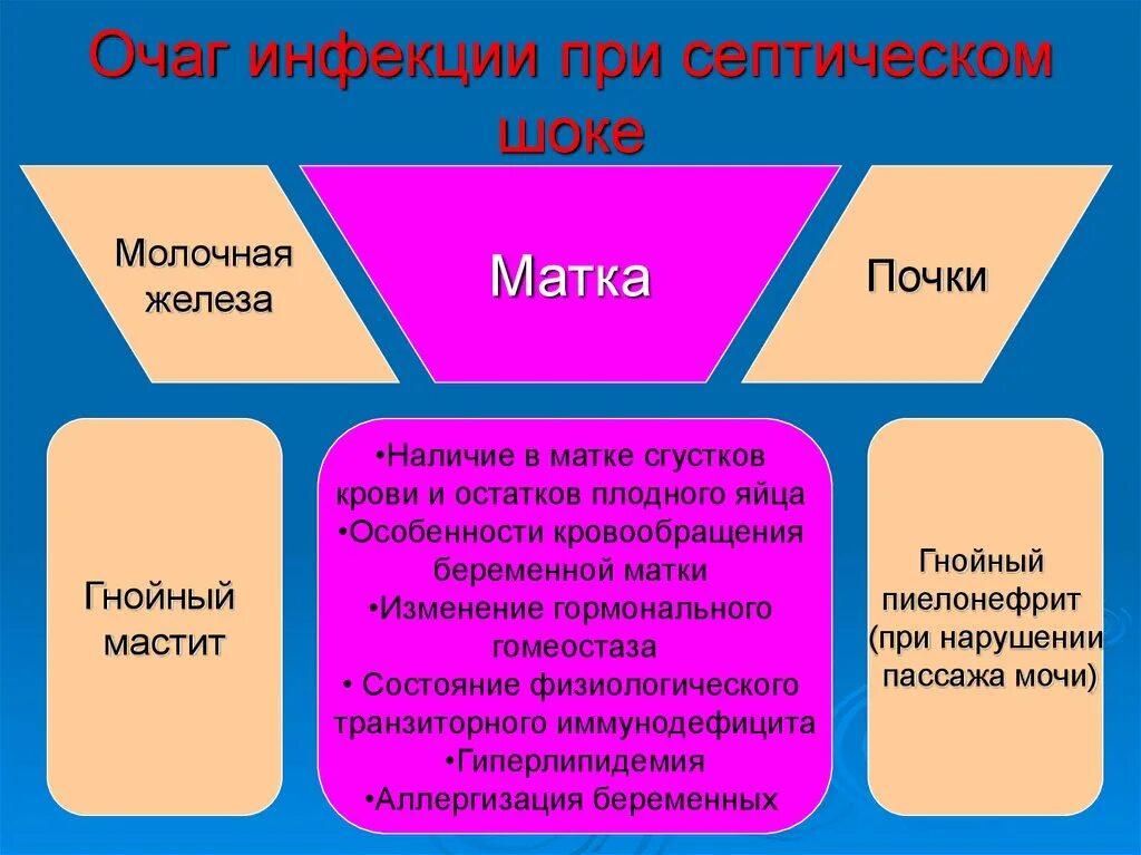 Очаг инфекционного поражения