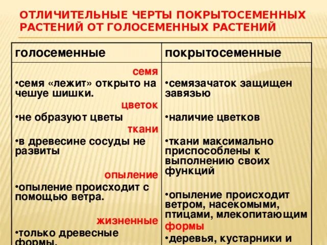 Примеры голосеменных и покрытосеменных. Основные отличия покрытосеменных от голосеменных. Сравнение покрытосеменных и голосеменных растений таблица. Различие покрытосеменных и голосеменных растений таблица. Голосеменные и Покрытосеменные растения различия.