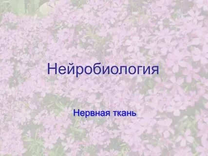 Нейробиология это