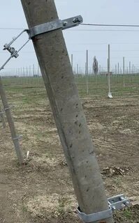 Между столбами натянуты