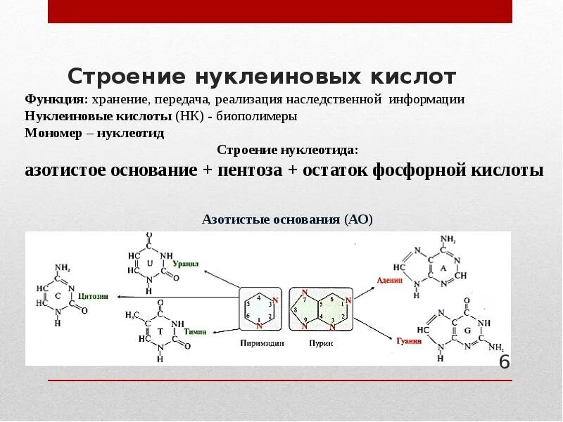 Нуклеиновые кислоты строение типы. Структура нуклеиновых кислот схема. состав нуклеиновых кислот схема. нуклеиновые кислоты строение структура. строение нуклеиновых кислот.