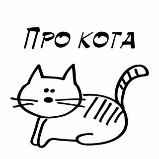 Простой котик