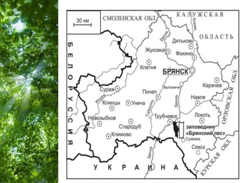 Реки Брянской области на карте. Река Десна на карте Брянской области. Физическая карта Брянской области. Брянская область на карте России.