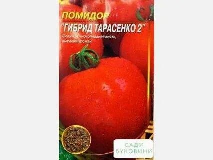 Томаты гибриды тарасенко описание