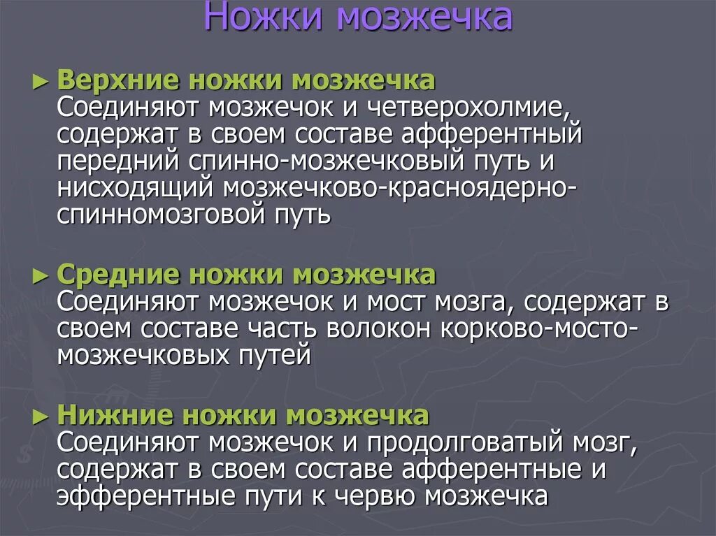 Мозжечок волокна. Состав ножек мозжечка. Состав верхних ножек мозжечка. Средние ножки мозжечка пути. Что в составе средних ножек мозжечка.