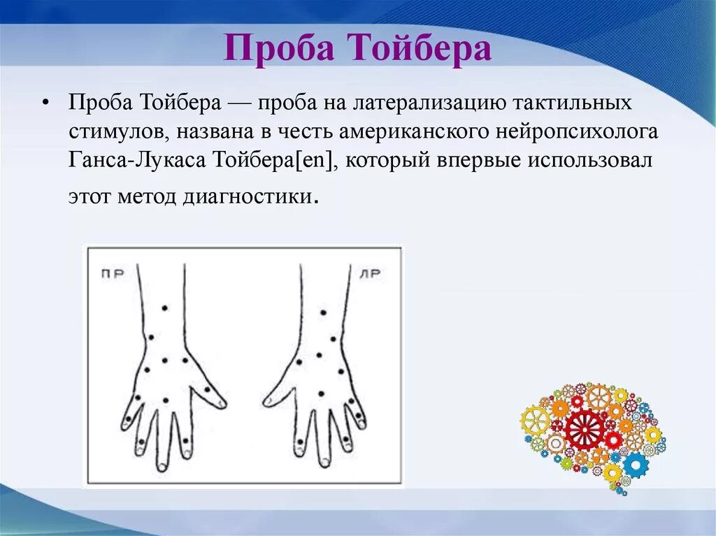 Проба тойбера. Проба тойбера в нейропсихологии. проба на локализацию прикосновения. проба на дискриминацию. локализация прикосновений проба тойбера.