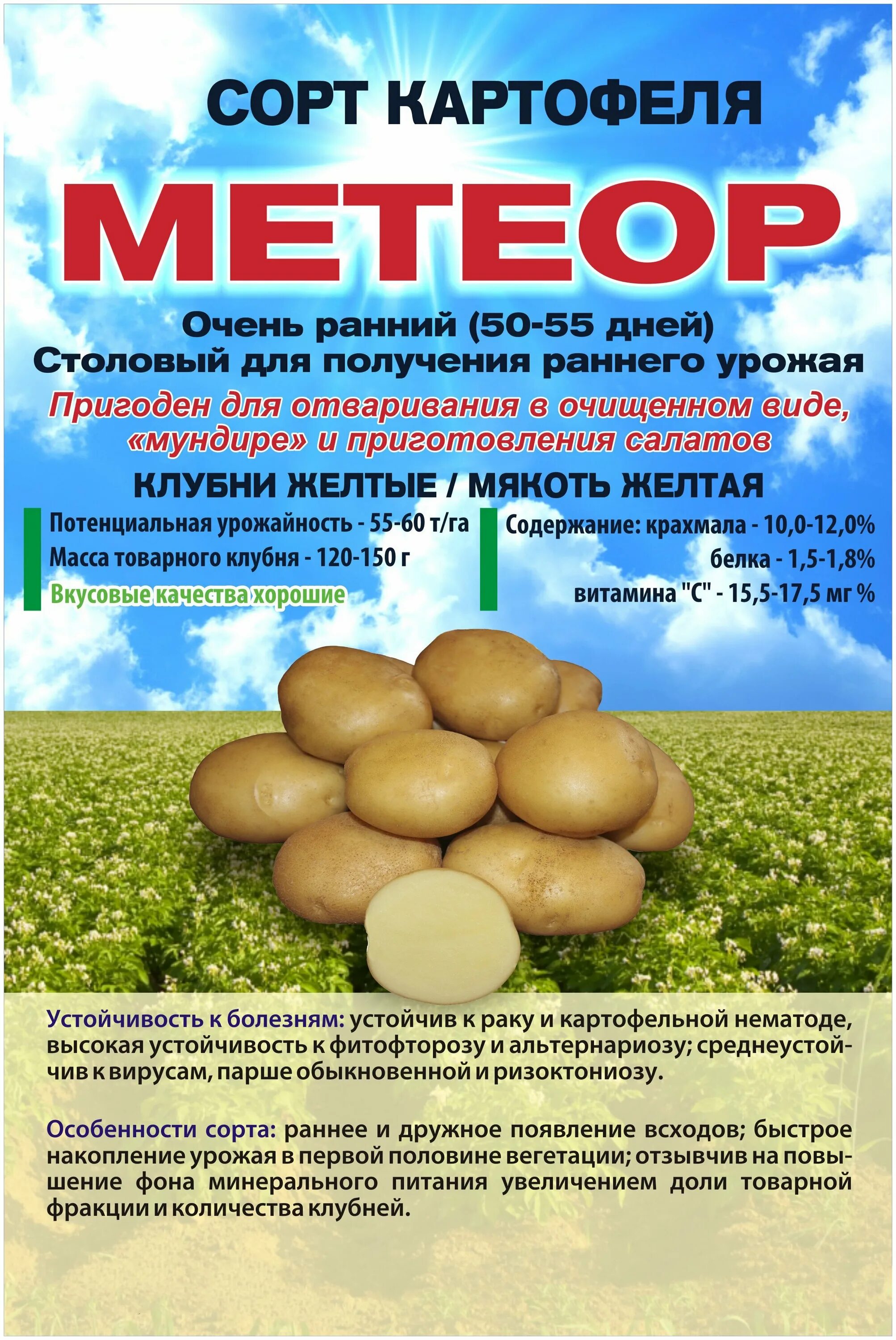 картофель сорт гала описание сорта. семенной картофель метеор. картофель метеор отзывы. картофель метеор с ростками. картофель метеор отзывы.