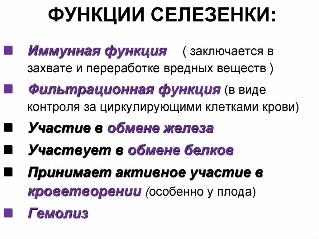 За какие функции отвечает. Селезенка функции в организме человека. основные функции селезенки. функции селезёнки у человека. роль селезенки в организме человека.