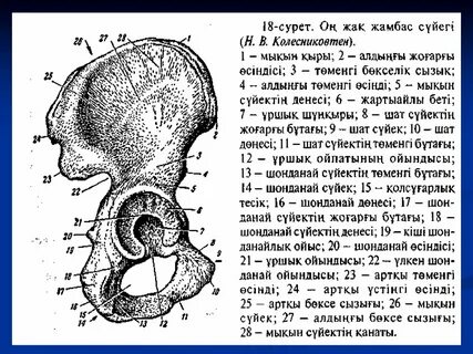 Ине порно көру