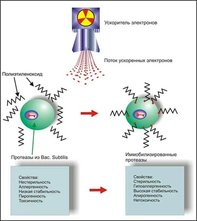Импульсный ускоритель электронов. Время рабочего импульса ускорителя электронов 1. Высоковольтный (ускоритель прямого действия) схема. Время рабочего импульса ускорителя электронов 1. Формула для определения количества электронов.