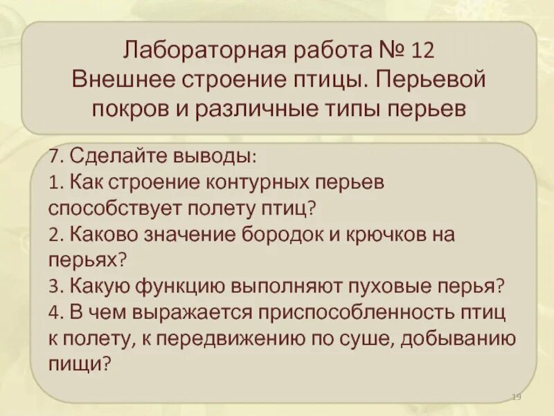 Внешнее строение и перьевой Покров птиц лабораторная работа. Лабораторная работа внешнее строение птиц. Лабораторная работа внешнее строение птицы строение перьев. Лабораторная работа строение птиц.