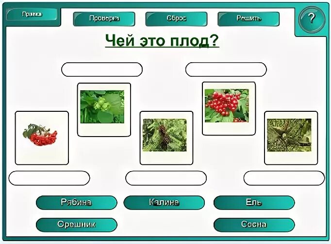 Чьи плоды. Игра чьи плоды. Чьи это плоды 1 класс. Чьи плоды стреляют?. Растения в природных сообществах тест