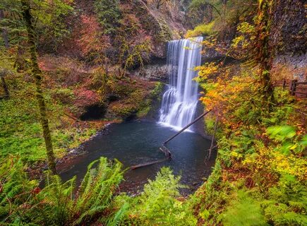 Silver Falls, USA, Parks, Forests, Autumn, Waterfalls, Crag, Stream HD Wall...