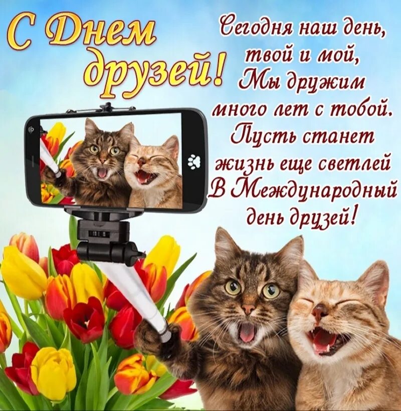 Как поздравить друга с праздником. С днём дружбы поздравления. День друзей открытки. Международный день друзей поздравления. С днём друзей поздравления красивые.