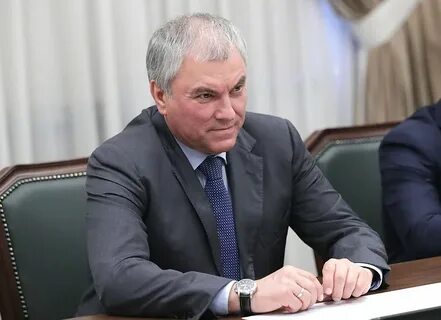 Володин нетрадиционная ориентация спикер госдумы