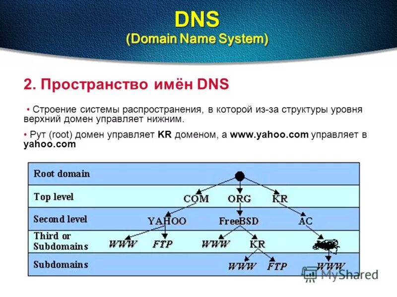 Домен расписание. Система доменных имен DNS структура. DNS имя. ДНС доменная система имен. Пространство имен DNS.