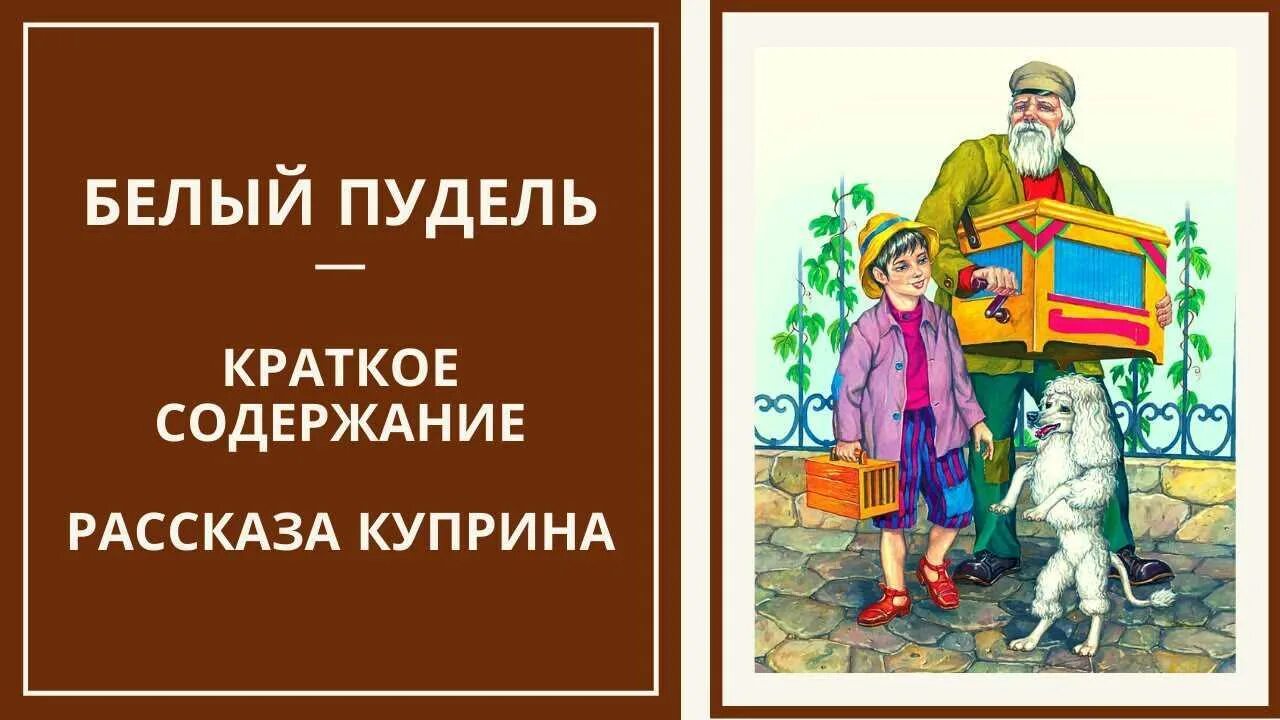 Эпизод белый пудель. Иллюстрация к рассказу Куприна белый пудель. А. И. Куприн "белый пудель". Куприн белый пудель картинки к читательскому дневнику. Куприн белый пудель читательский дневник.