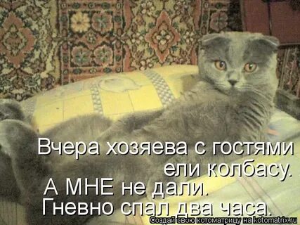Спал два часа в сутки
