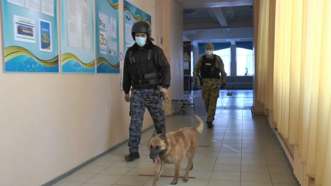 Заминировали школы. Пенза сообщение о минировании школ. Заминировали школы. Заминировали школы. Угроза взрыва в школе.