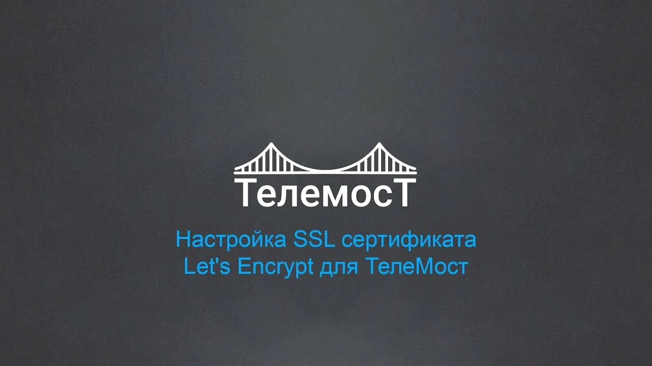 Телемост ru. Телемост логотип. Телемост приложение.