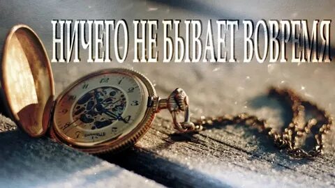 Вернулись вовремя