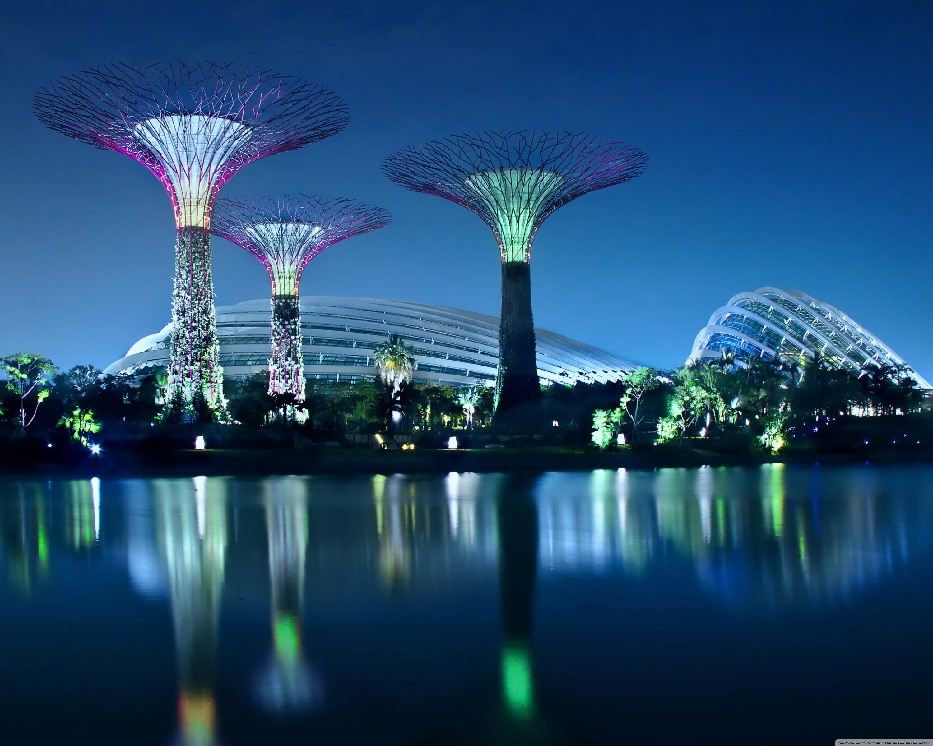 Дизайнер украшений. Используют самые разные. Используют самые разные. Современная жизнь. Шалфей специя.