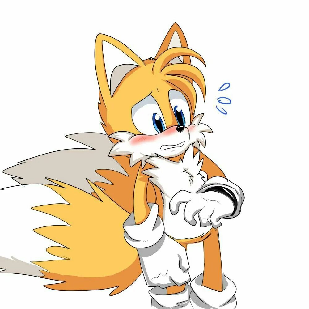 Tails fur. Лис тейлз. Лисёнок тейлз. Tails x sally. Tails inflation.