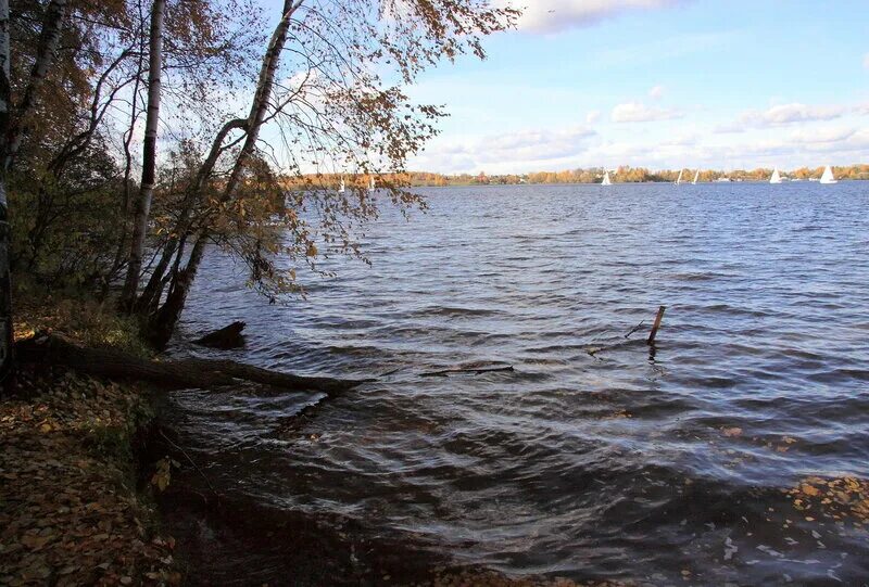 Клязьминское водохранилище яхт-клуб. Пляж троицкое клязьминское водохранилище. Маяк на клязьминском водохранилище. Клязьминское водохранилище новые водники. Клязьминское водохранилище новые водники.