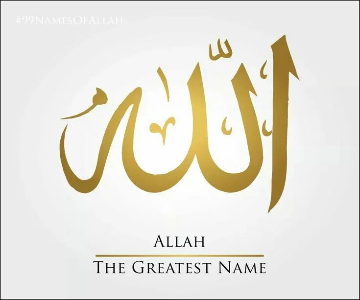 In the name of beauty. Babygothipz other name. The greatest name. The greatest name. The greatest name.