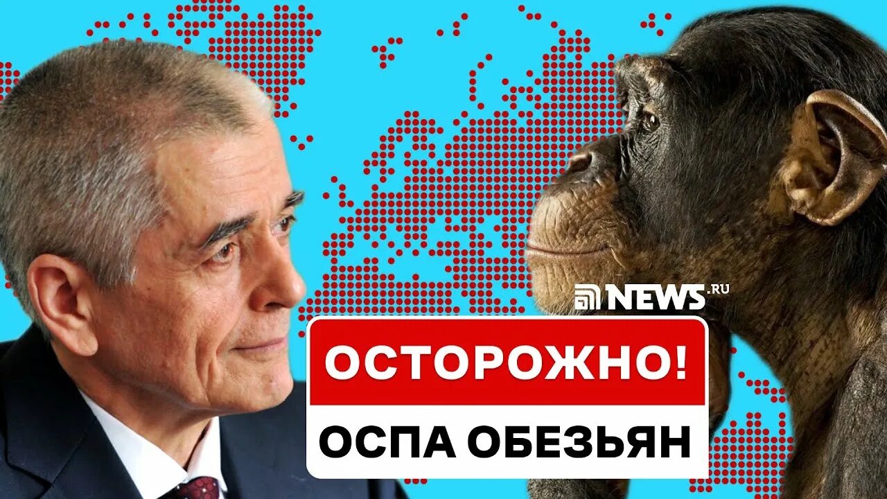 Оспа обезьян сейчас. Оспа обезьян сейчас