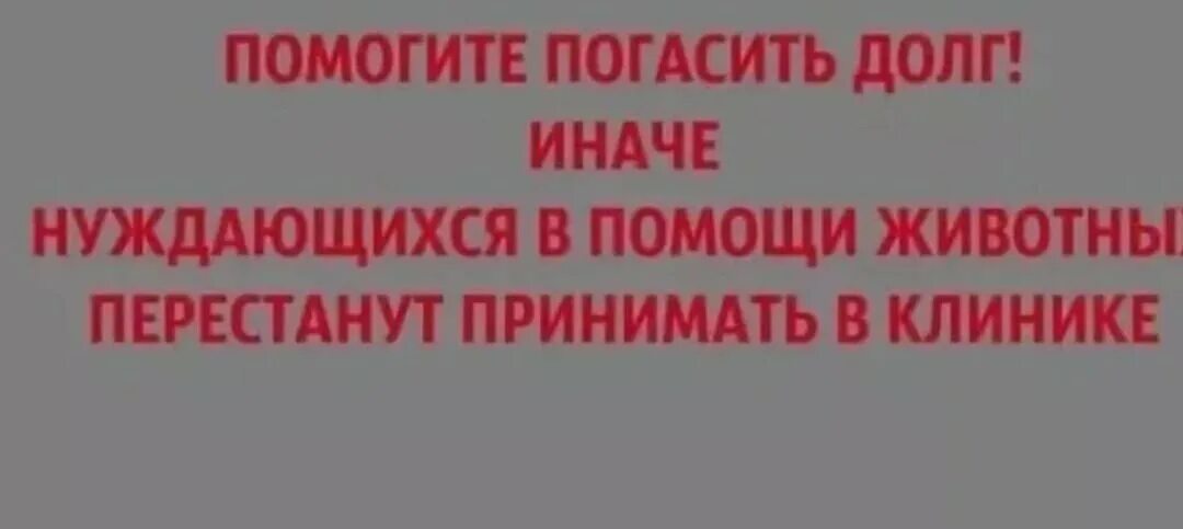 Лечение долгов. Помогите погасить долг в клинике. Долги в клинике помогите оплатить. Помогите погасить долги в клинике. Помогите погасить долг в ветклинике.