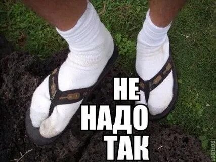 Носки картинки смешные