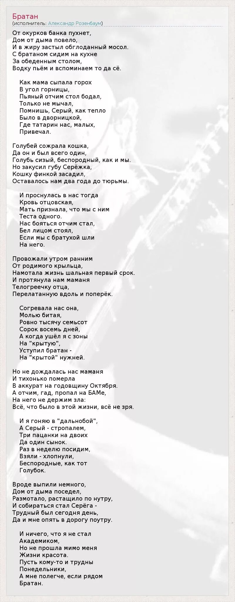 Космонавтов нет баночка с окурками текст. Кошка беспородная текст. Кошка беспородная песня текст. Песни про кошек текст. Братан песня текст.