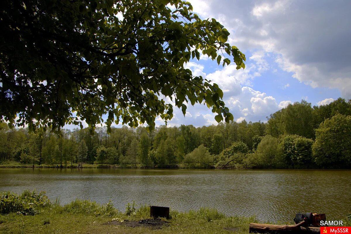 серебрянный пруд балашиха. серебряный пруд салтыковка. салтыковка пруд. тарелочкин пруд салтыковка. серебряный пруд салтыковка.