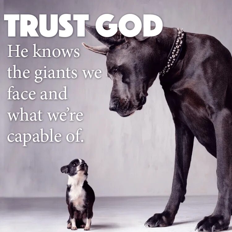 Capable of