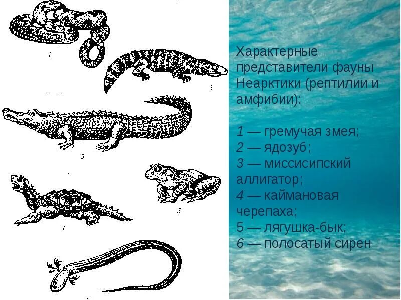 Волной гремучею значение