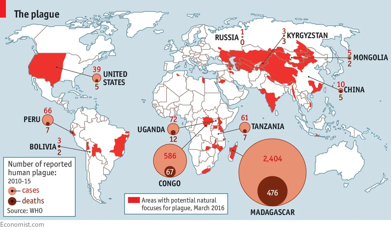 Заражение воды холерой в россии. Распространенность чумы. Карта распространения чумы. Распространенность чумы в мире. Карта распространения чумы в мире.
