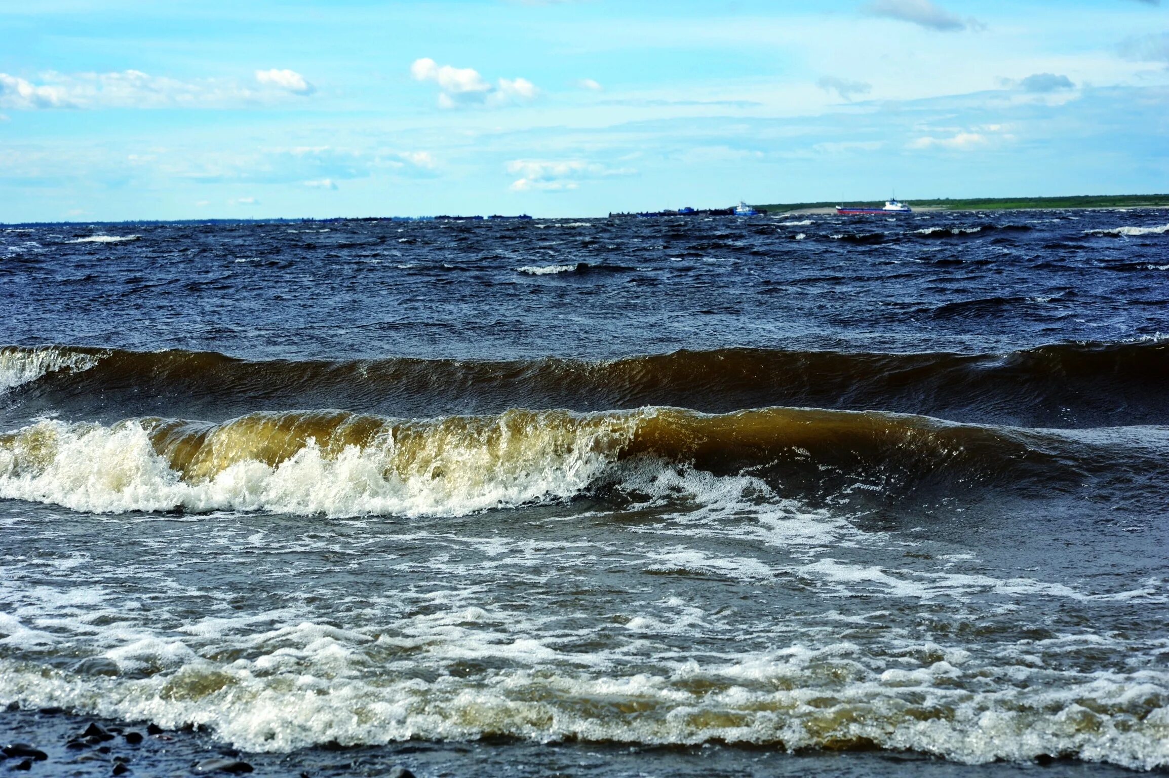 Побережье карского моря. Берег карского моря летом. Карское море. Карское море. Побережье карского моря.