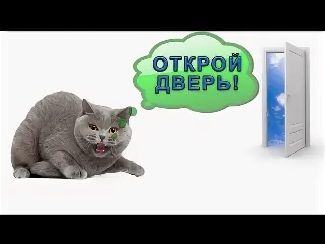 Открой говорю