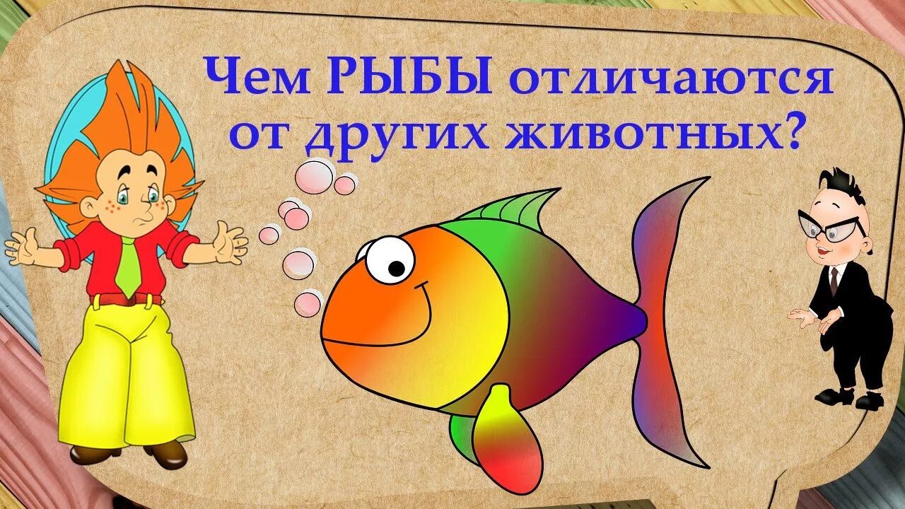 Рыба различие. Рыбы отличаются от других животных. Что отличает рыб от других животных. Отличие рыб от других. Чем рыбы похожи на других животных.
