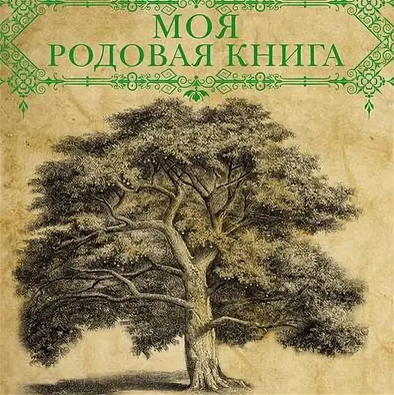 Читать книгу кодекс рода. Книга рода. Фамильная летопись книги. Краткий российский летописец с родословием. Оформление книги рода.