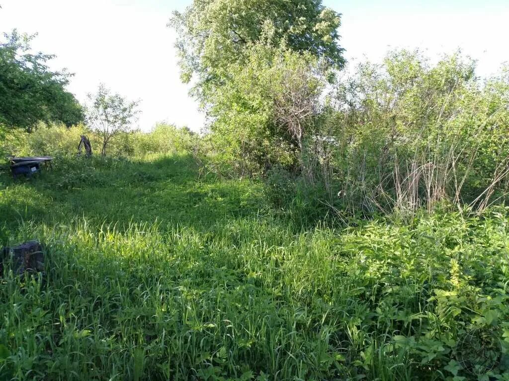 Климовск сертякино. Сертякино. Климовск сертякино. Снт василек климовск. Участок сертякино.