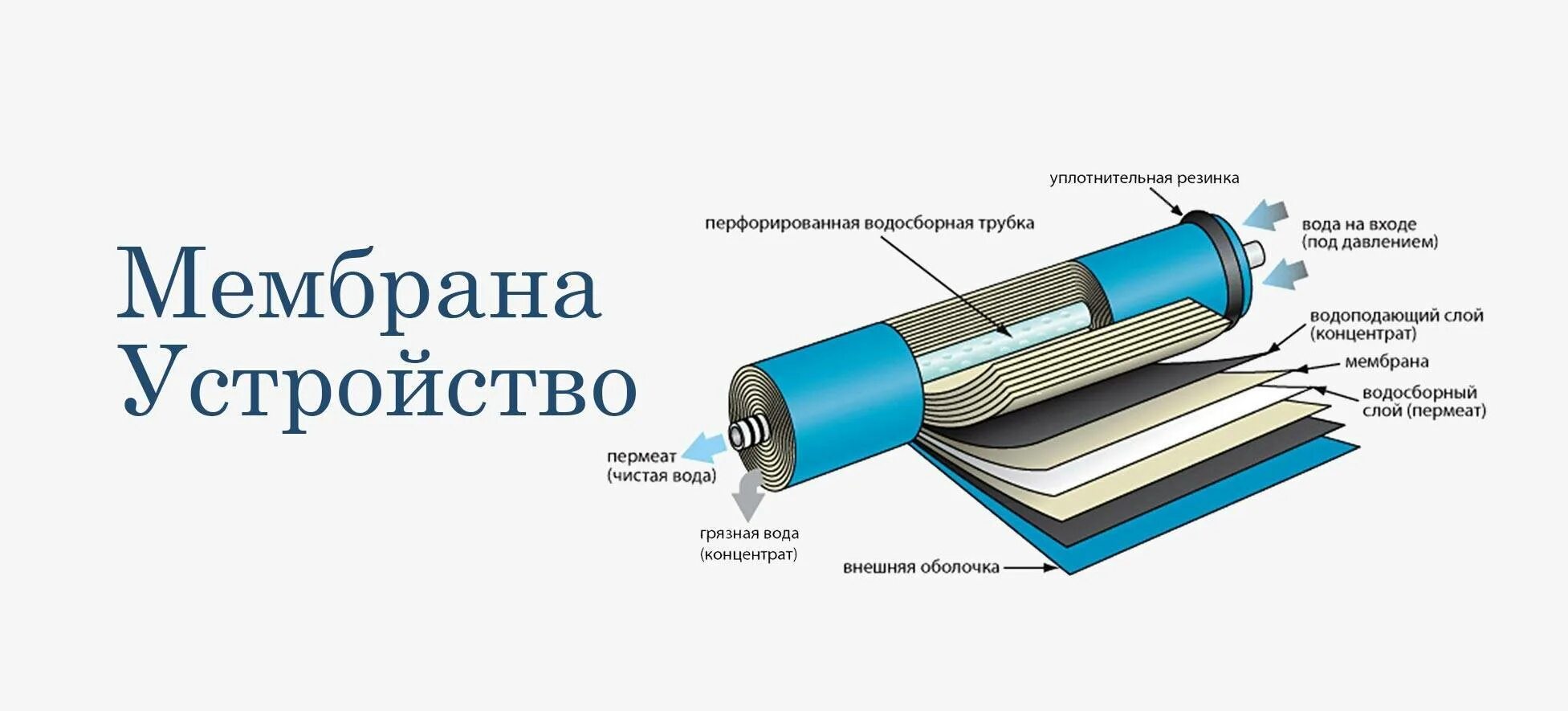Мембрана работа. Мембрана работа