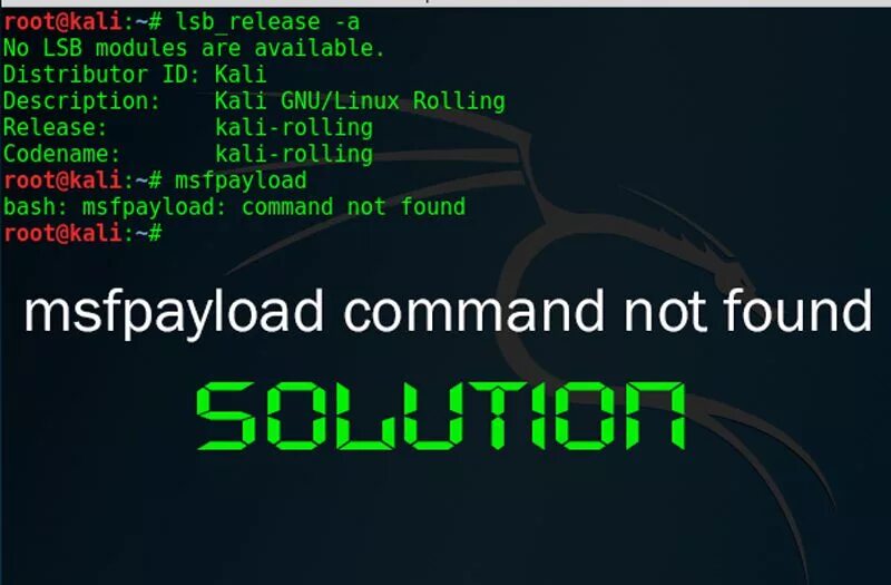 Command not found. Kali Linux Commands. Bash Command $ not found. Kali Linux Hacking book.