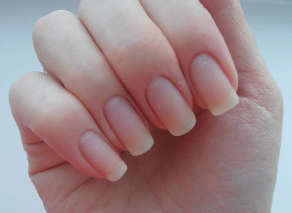 Короткие ногти без маникюра. Просто ногти без лака. Ногти без маникюра. Красивые ногти без лака. Классический маникюр без покрытия.