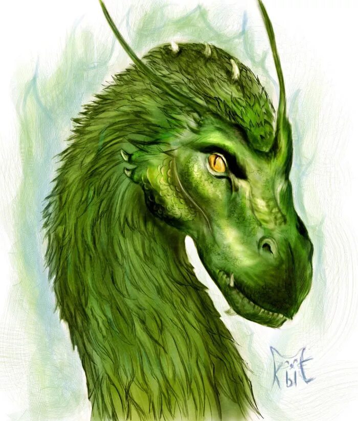 книга зеленый дракон