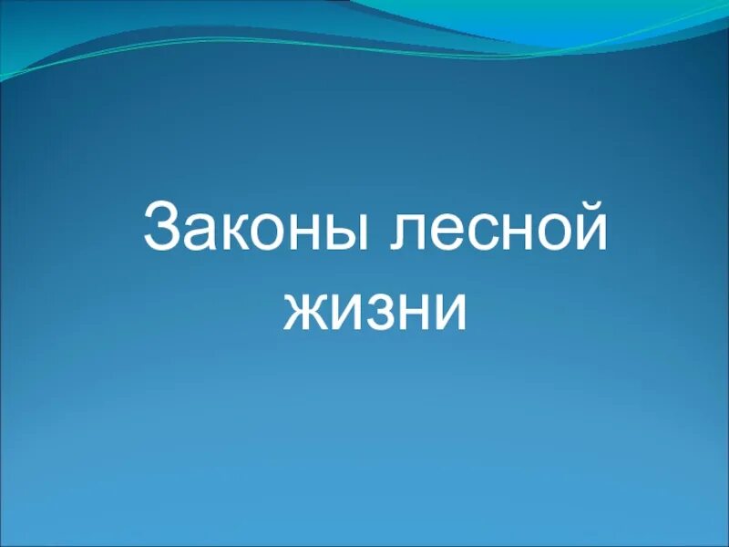 Законы лесной жизни 3 класс окружающий мир. Маленький рассказ про лес. Законы лесной жизни 3 класс. Законы жизни леса. Законы лесной жизни.