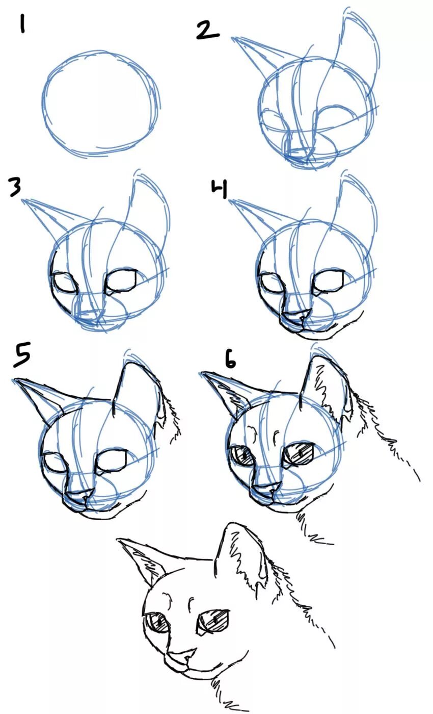Cats tutorials